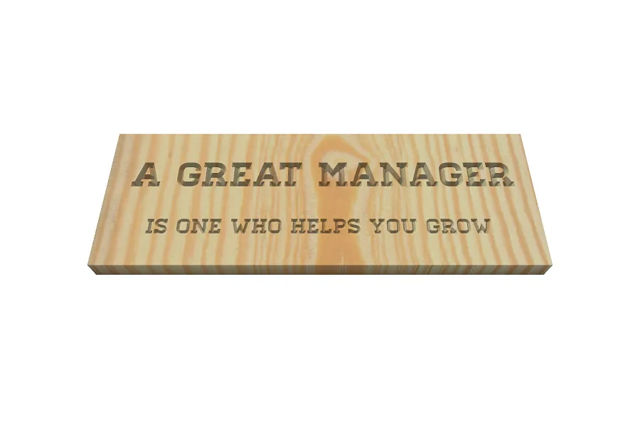 manager 1 - image 1
