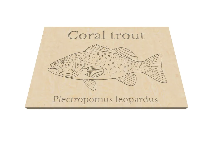 coral trout - image 1