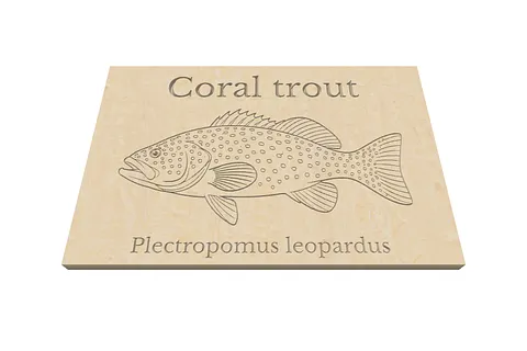 coral trout