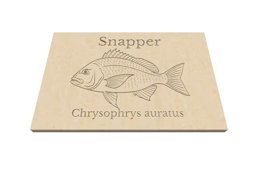 Snapper - image 1