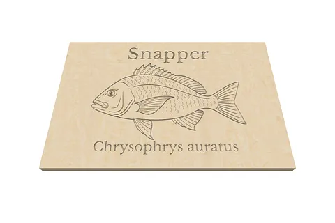 Snapper
