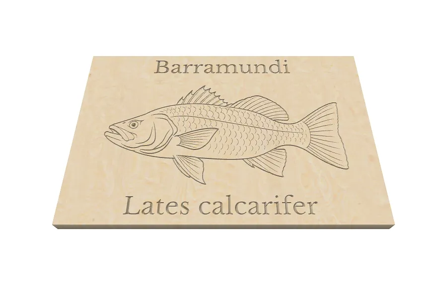 Barramundi - image 1