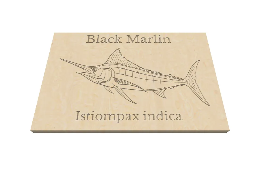 Black marlin - image 1