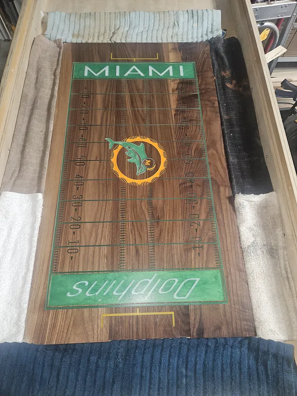 Miami dolphins - image 2