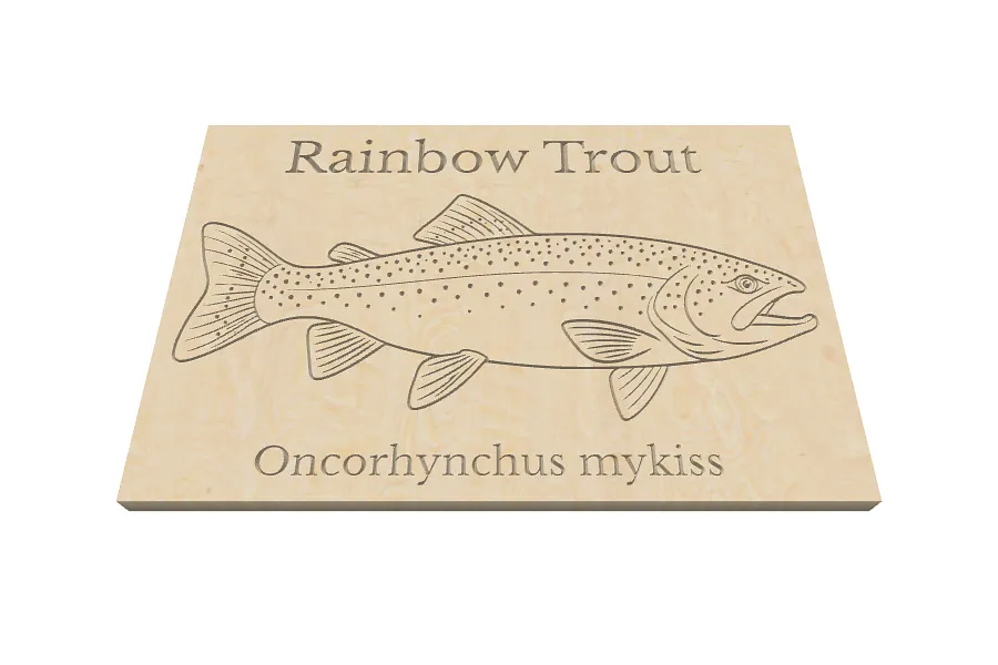 Rainbow trout - image 1