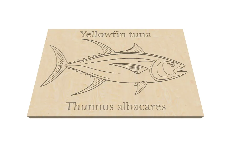 yellow fin tuna - image 1
