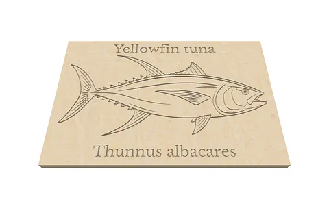 yellow fin tuna