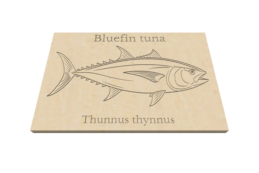 Blue fin tuna - image 1