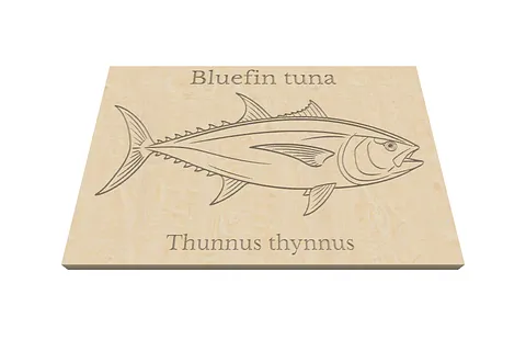 Blue fin tuna