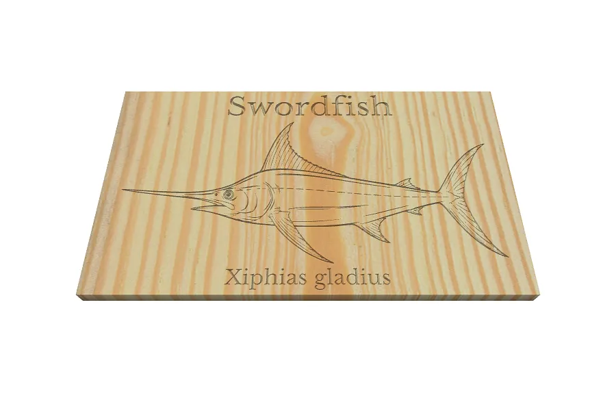 Swordfish - image 1