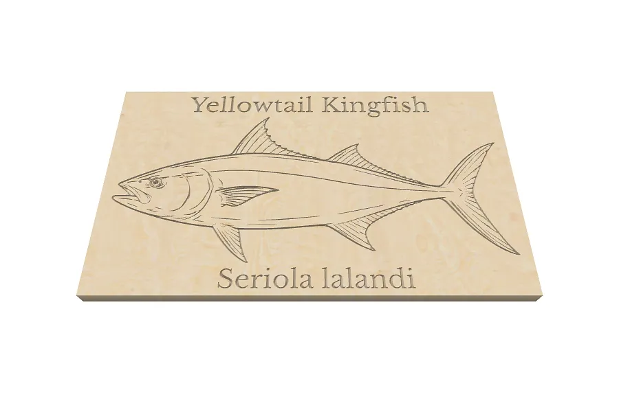 Yellowtail Kingfish - image 1