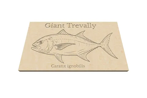 Giant Trevally