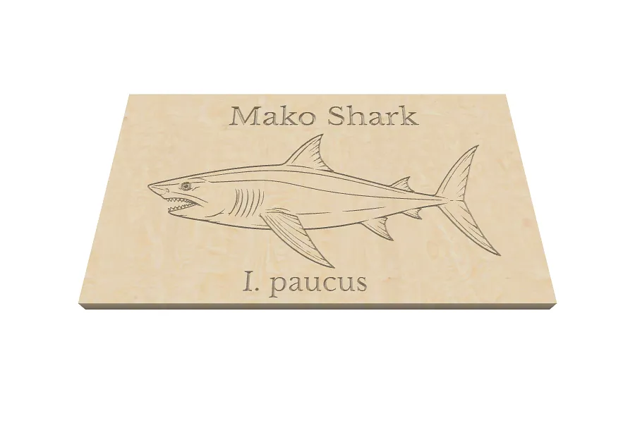 Mako Shark - image 1