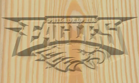 Eagles Football - image 2