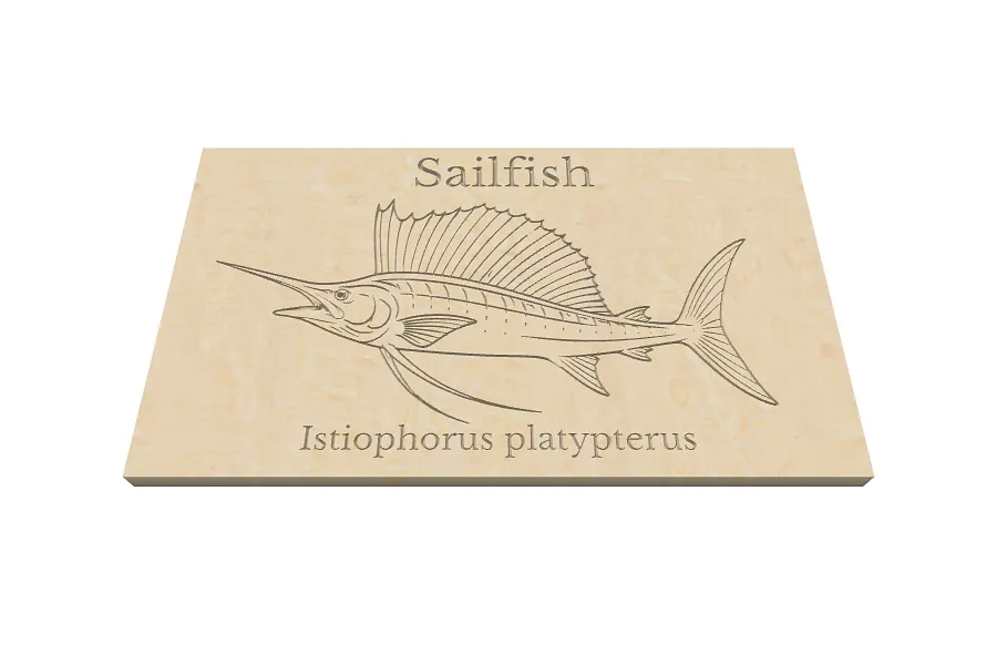 Sailfish - image 1